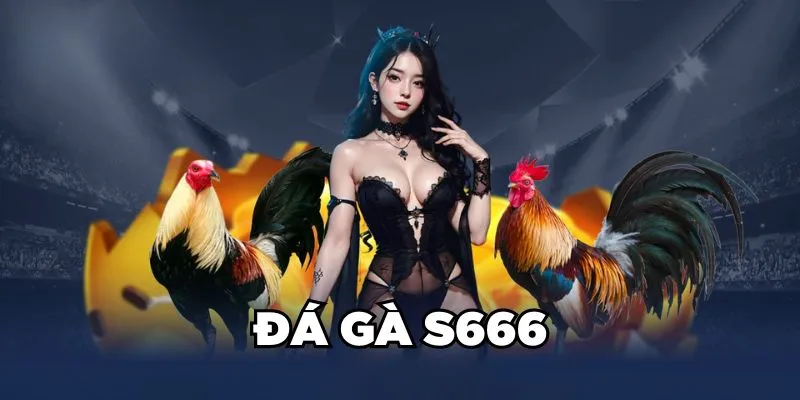 Đá gà S666